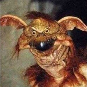 Meet your Posher, Franklin